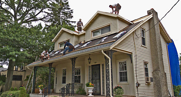 Best Metal Roofing Contractor  in Deer Lodge, MT